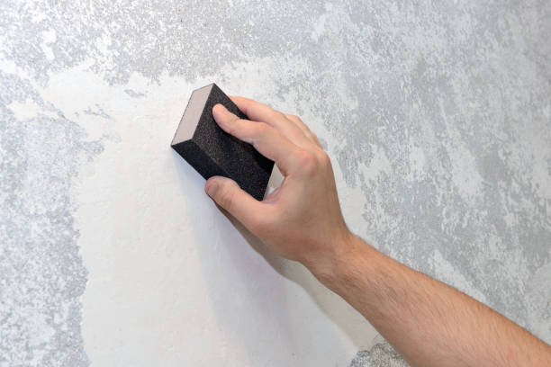 Best Emergency Mold Remediation  in Wendell, ID