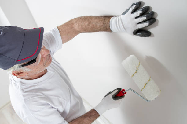 Best Crawl Space Mold Remediation  in Wendell, ID