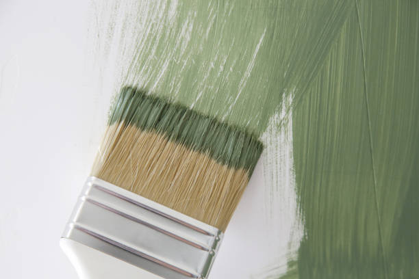 Environmental Consulting for Mold Prevention in Wendell, ID