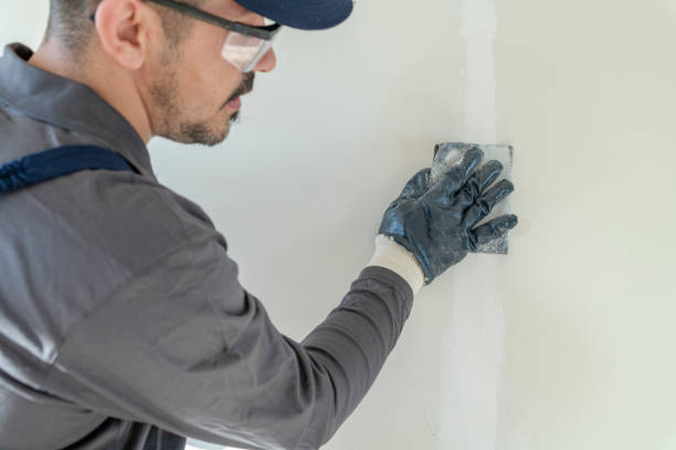 Best Attic Mold Removal  in Wendell, ID