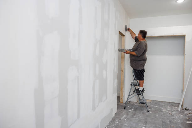Best Basement Mold Removal  in Wendell, ID