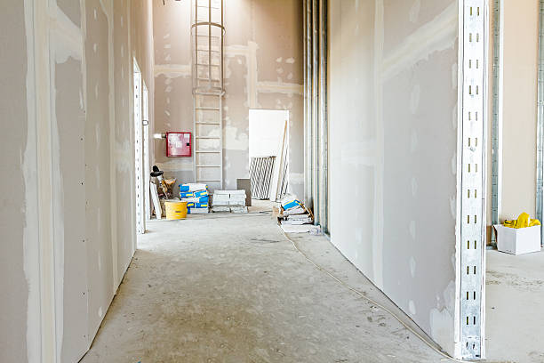 Best Mold Odor Removal Services  in Wendell, ID