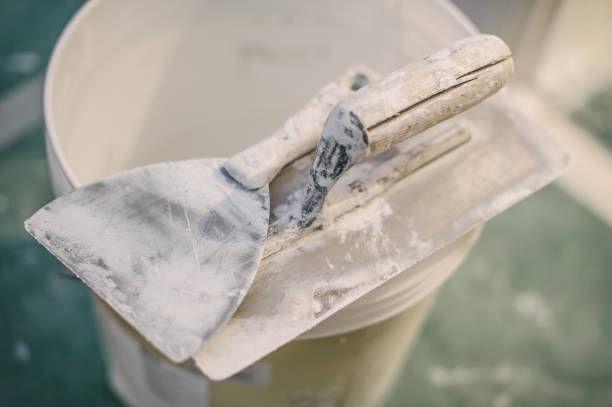 Mold Documentation for Insurance Claims in Wendell, ID