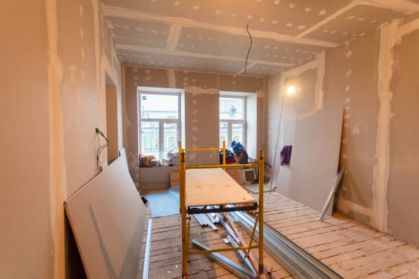 Best Biohazard Mold Removal  in Wendell, ID