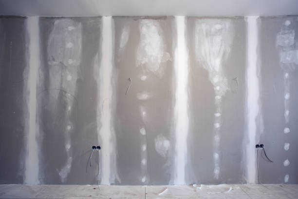 Best Mold Remediation for Healthcare Facilities  in Wendell, ID